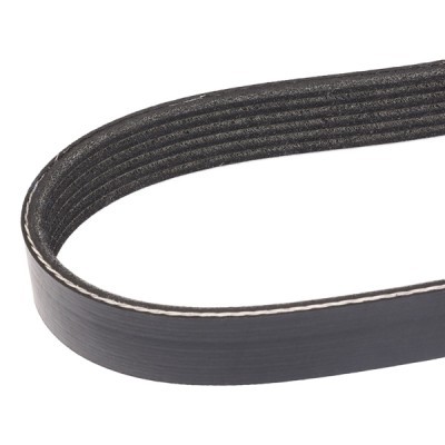 V-ribbed belt  305P0158